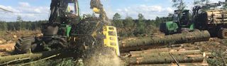 Timber Harvesting and Extraction