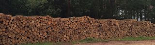 Timber Marketing or Roundwood Sale